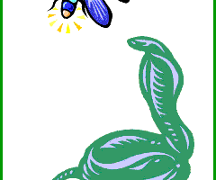 fabula la luciernaga y la serpiente