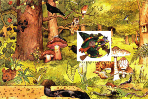 bruja buena alegre volando en su escoba