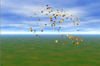 Las hojas y el viento 4