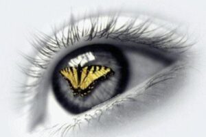 La mariposa soñadora 9