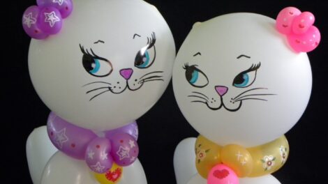 Las gatas y el gatito 1