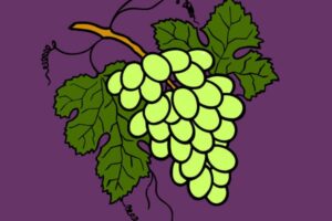 La señorita Betty 2