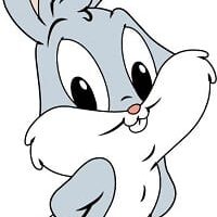 El bebé conejo y el zorro 9