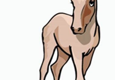 El asno, la zorra y el león 5