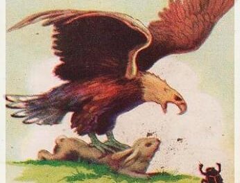 El águila y el escarabajo 1