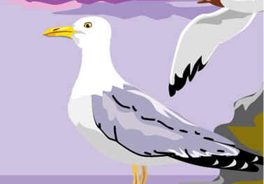 El Milano y la Gaviota 4