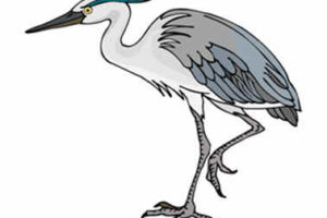 El labrador y las grullas 4