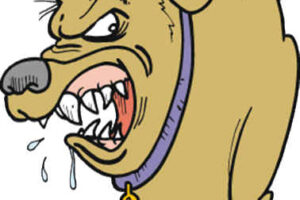 El perro en el pajar 7