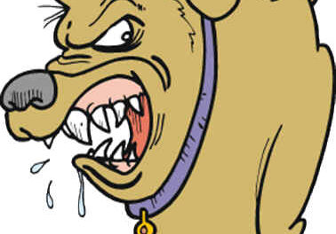 El perro en el pajar 9
