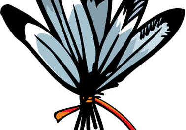 El plumaje de la Golondrina y el Cuervo 3