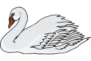 El Cuervo y el Cisne 8