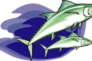 El león y el delfín 8