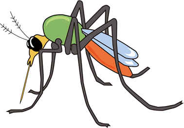 El león y el mosquito luchador 5