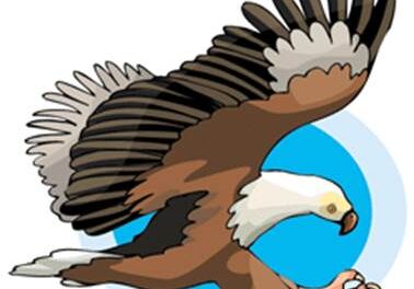El labrador y el águila 9