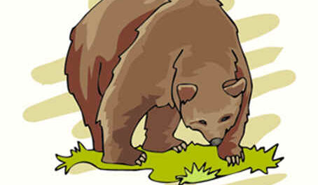 Los viandantes y el oso 5
