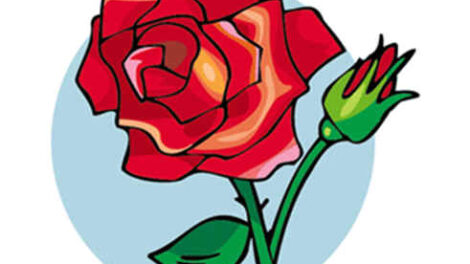 La rosa y el amaranto 10