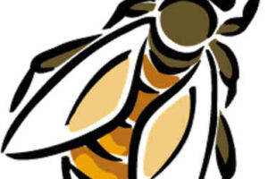 Las avispas, las perdices y el agricultor 2