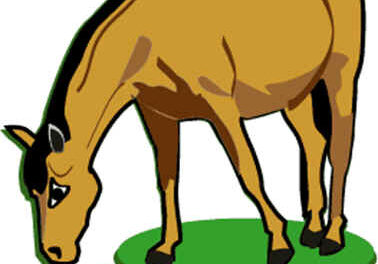 El caballo y el asno 8