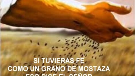 Parábola del grano de mostaza 7