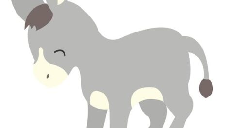 Un burro bueno y muy trabajador. 8