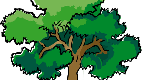 El árbol 3