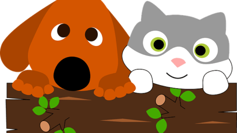 Los animales merecen respeto 11