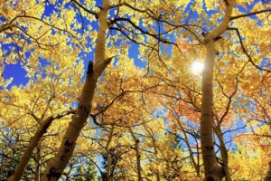 La leyenda de las estaciones 5