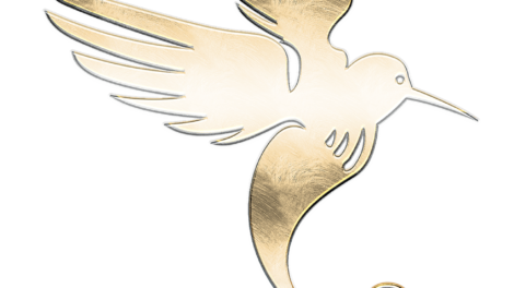 El pájaro de oro (5ta parte) 16