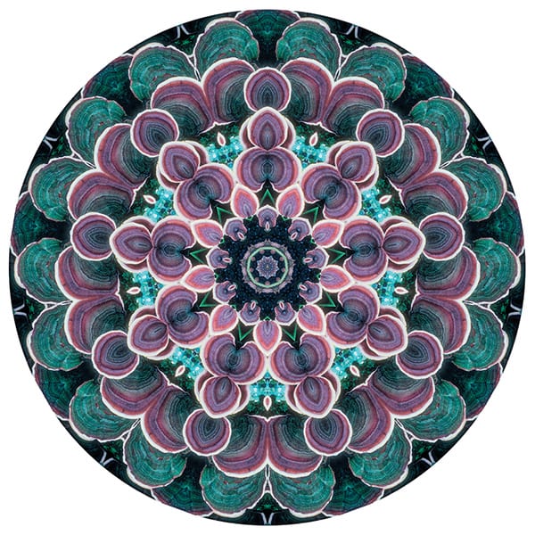 Mandalas: Guía Fácil con Imágenes para Colorear, Pintar, Tejer y Crear 3