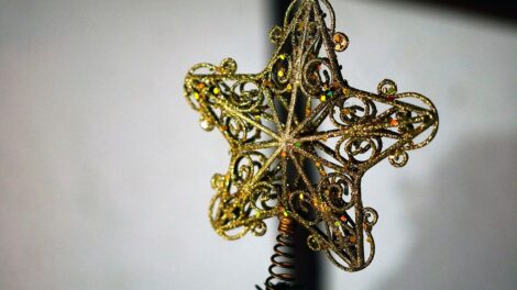La estrellita de Navidad 16