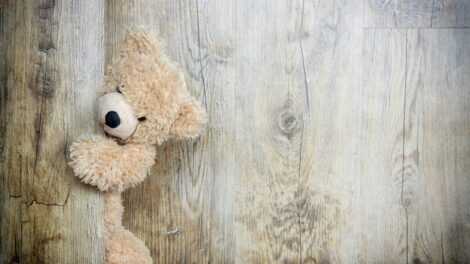 El Oso triste 1