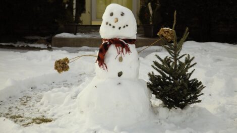 El hombre de nieve 5