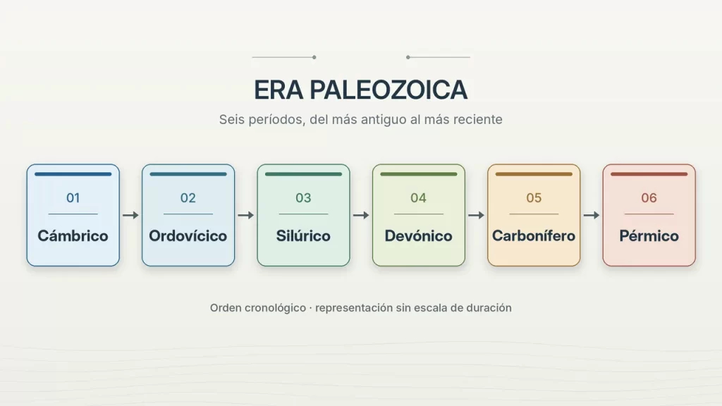 Seis tarjetas ordenan Cámbrico, Ordovícico, Silúrico, Devónico, Carbonífero y Pérmico.